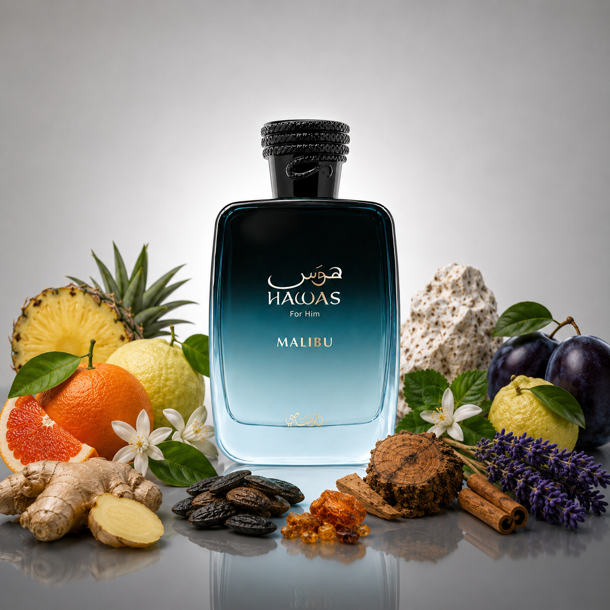 HAWAS MALIBU